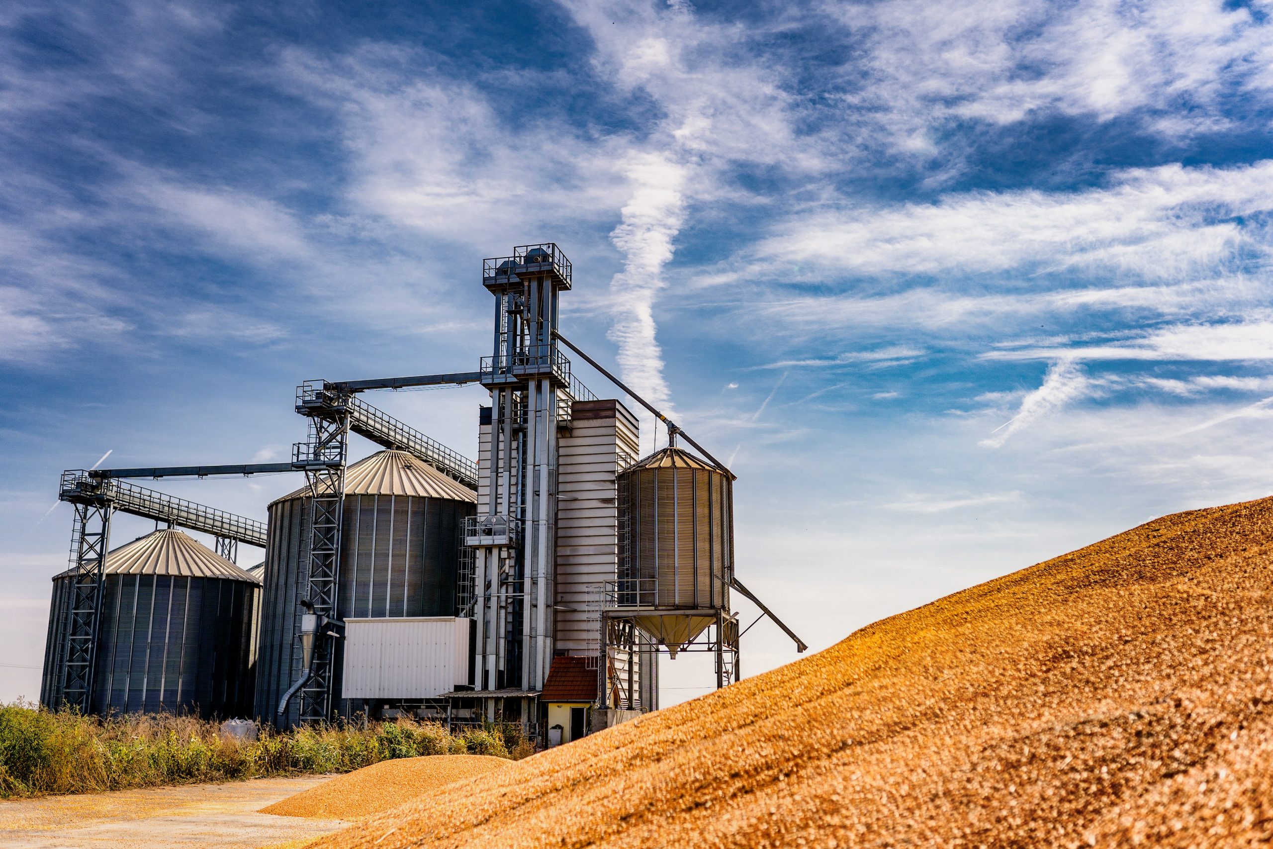 grain storage at McNaughts